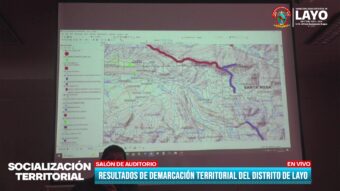 RESULTADOS DE DEMARCACIÓN TERRITORIAL DEL DISTRITO DE LAYO