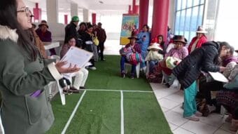 CONCURSO DE BEBE MAMON