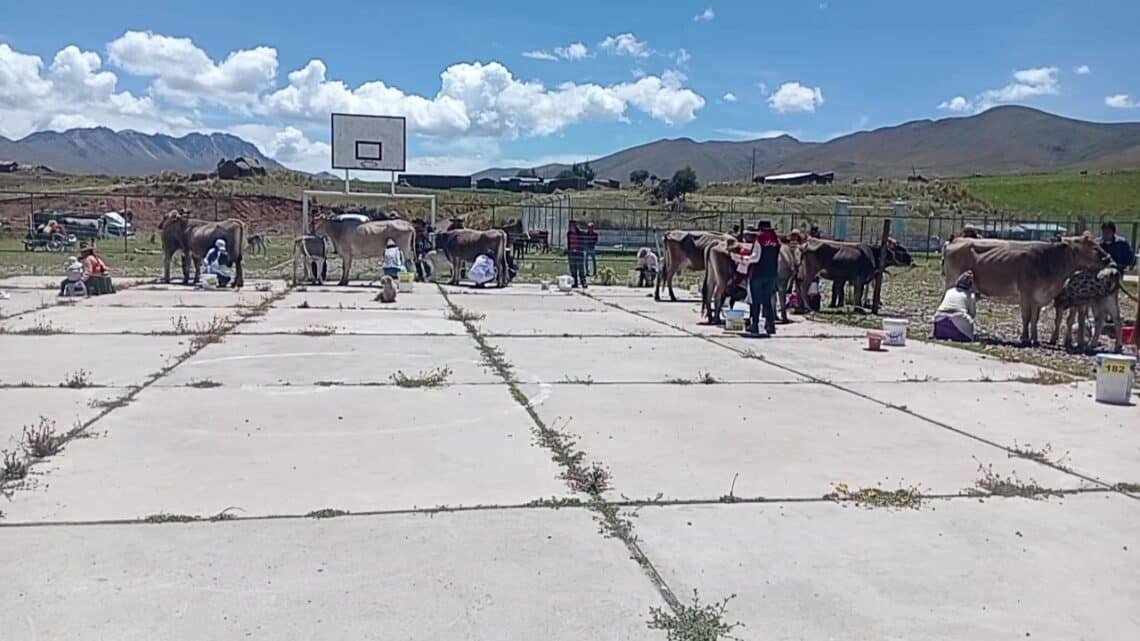 Aiheeseen liittyvät videot