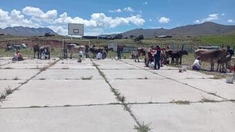 Aiheeseen liittyvät videot