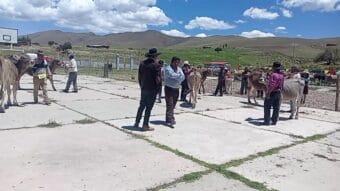 Aiheeseen liittyvät videot