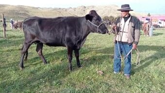 Aiheeseen liittyvät videot