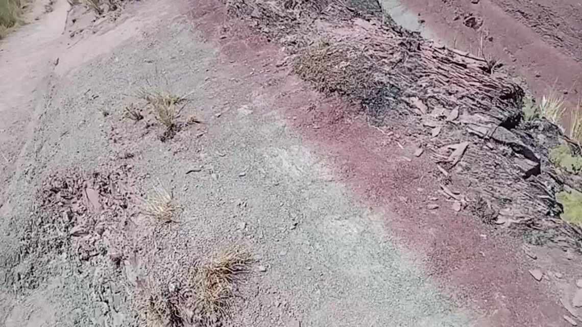 Aiheeseen liittyvät videot