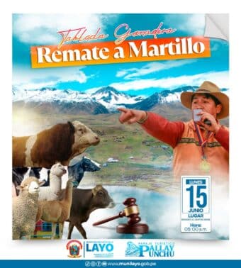 Nueva Publicación