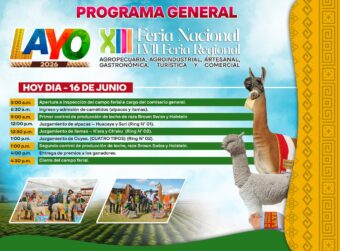 Nueva Publicación
