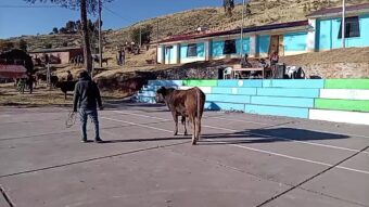 REMATE A MARTILLO EN LA COMUNIDAD DE HILATUNGA
